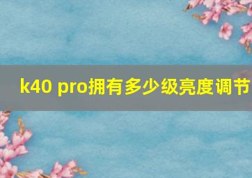 k40 pro拥有多少级亮度调节